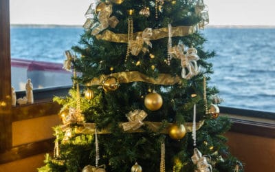 Top Reasons to Host Your Destin Holiday Party on the SOLARIS