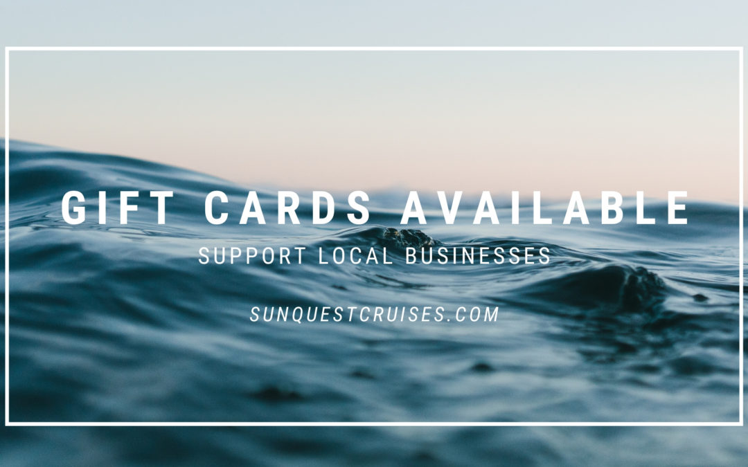 Gift Cards – SunQuest Cruises